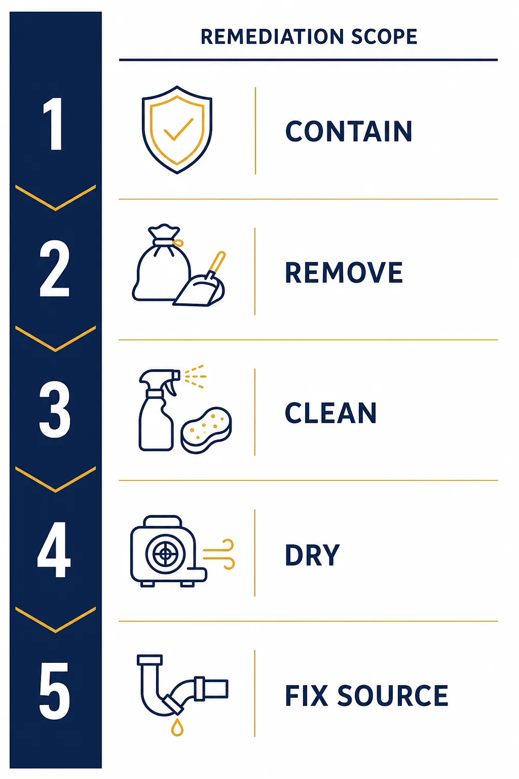 Infographic listing the five steps of mold remediation: contain, remove, clean, dry, and fix source