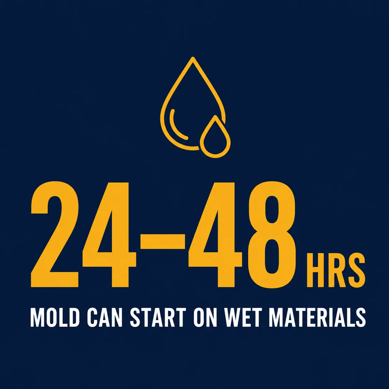 Stat card showing mold can begin growing on wet materials within 24 to 48 hours
